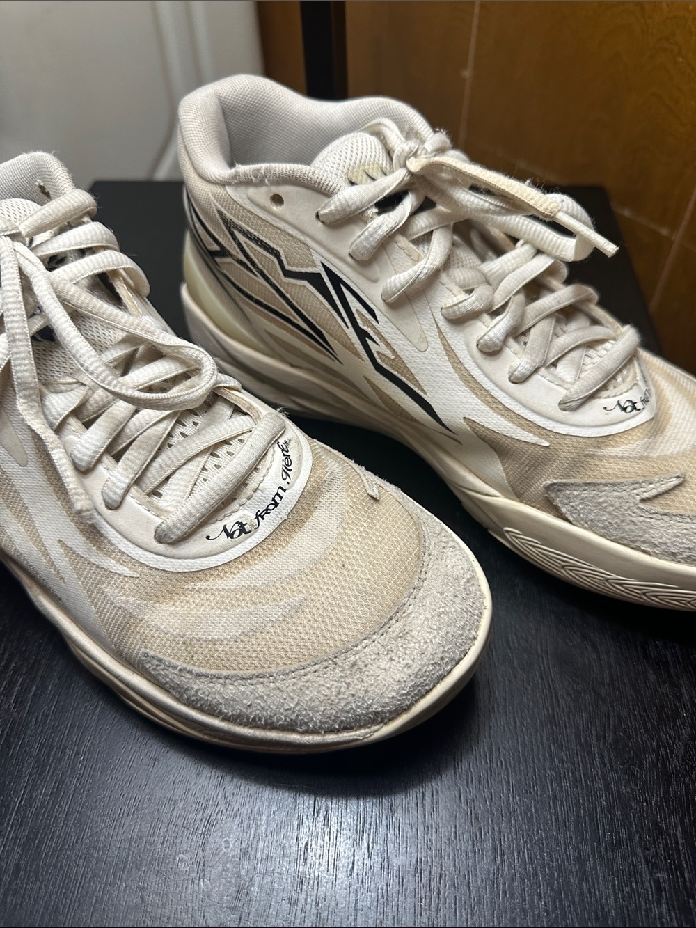 Puma Men's La Melo “Whispers”